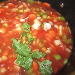 Hearty Vegetable Soup