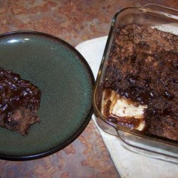 One Pan Chocolate Pudding Cake