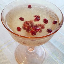 Pomegranate Cranberry Champagne Cocktail