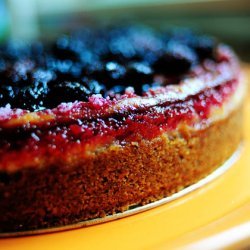 Blackberry Cheesecake