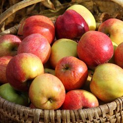 Crock Pot Apple Butter