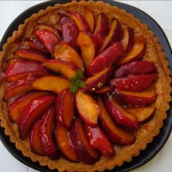 Plum Tart With Ginger Crust