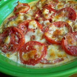 Tomato Gratin