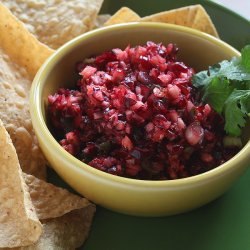 Cranberry Salsa