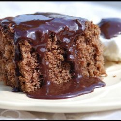 Savannah Chocolate Cake With Hot Fudge Sauce