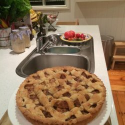 Delicious Dutch Apple Cake