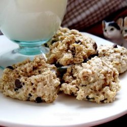 Nut and Oat Choc-Chip Biscuits