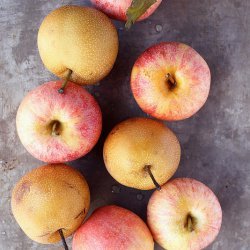 Apples and Pears Poached in Red Wine