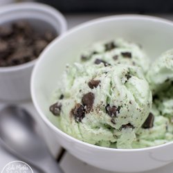 Chocolate Chip Ice Cream