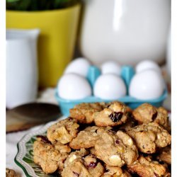 Chunky Chocolate Cranberry Cookies