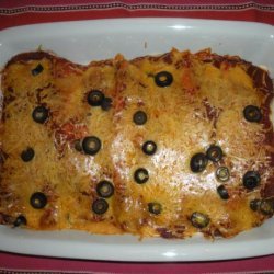 Yummy Turkey Enchiladas