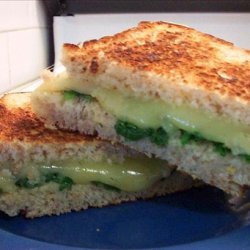 Spinach and Havarti Sandwiches on Multigrain Bread