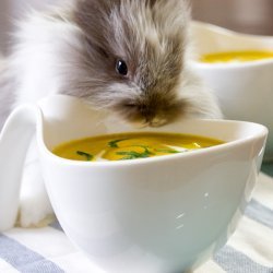 Carrot Soup