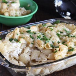 Macaroni and Cottage Cheese