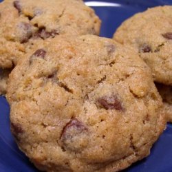 Crispy Chocolate Chip Cookies