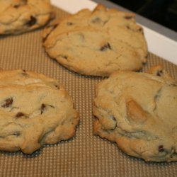 Chocolate Chocolate-Chip Cookies