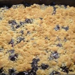 Blueberry Oat Summer Treat