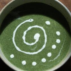 Stinging Nettle Soup