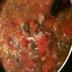 Beef and Garden Vegetable Soup