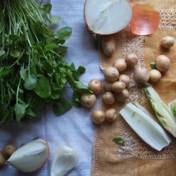 Fennel and Potato Soup