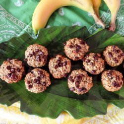 Gluten Free Chocolate Chocolate Banana Oat Muffins