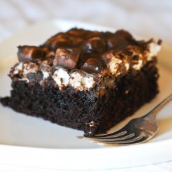 Mississippi Mud Sheet Cake