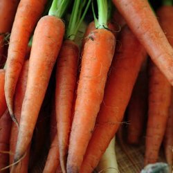 Carrot Marmalade