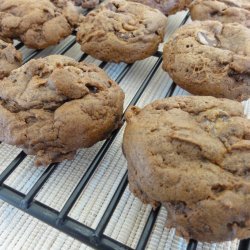 Chocolate Chip Molasses Cookies