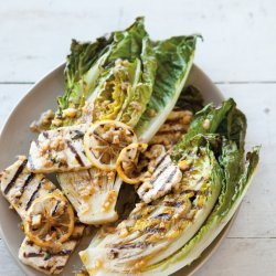 Lemon Grilled Halloumi