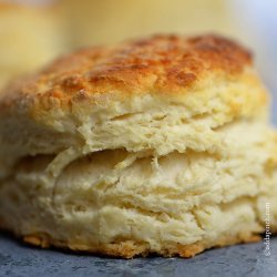 Buttermilk Biscuits