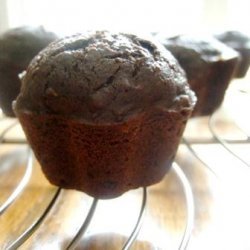 No Fat Chocolate Zucchini Muffins