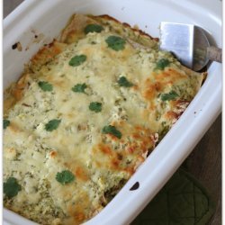 Shredded Beef Enchiladas