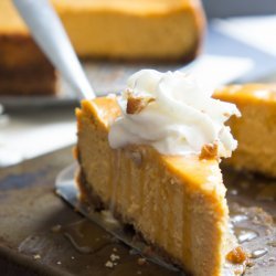 Pumpkin Cheesecake