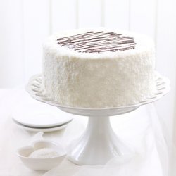 Chocolate Coconut Cake