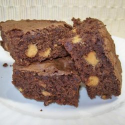 Favorite Brownies