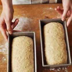 Honey Oatmeal Bread