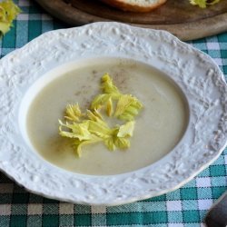 Celery Soup