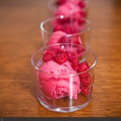 Raspberry Sorbet