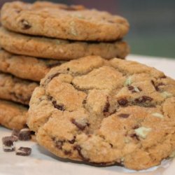 Chewy Mint Chocolate Chip Cookies