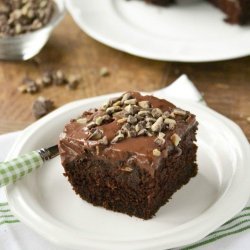 Chocolate-Mint Pudding Cakes