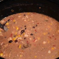 Crockpot Salsa Chicken and Black Bean Soup