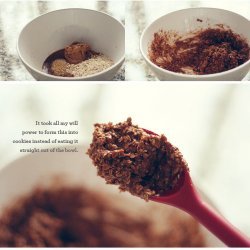 No Bake Cookies