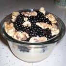 Honey Walnut Berry Yogurt