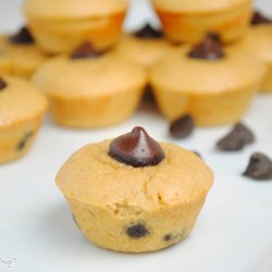 Protein Muffins