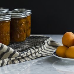 Picnic Apricot Chutney.