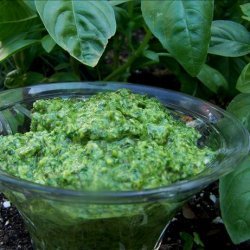 Arugula Basil Pesto