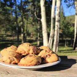 Buffalo Chip Cookies