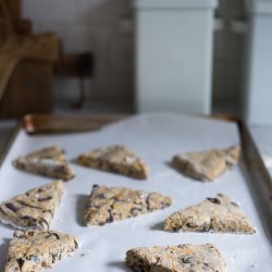 Rye Caraway Scones