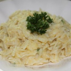 Creamy Squash Orzo