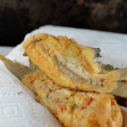 Southern Fried Catfish